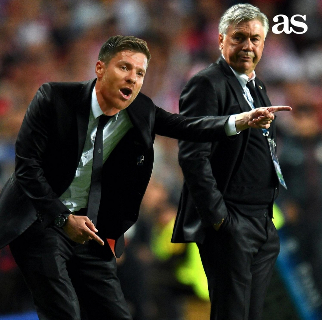 开云- bsports必一 